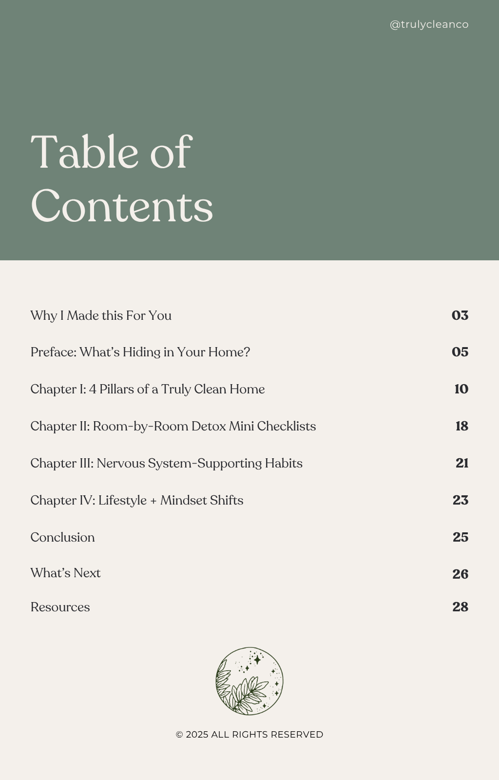TRULY CLEAN LIVING™: THE MINI HOME DETOX MANUAL