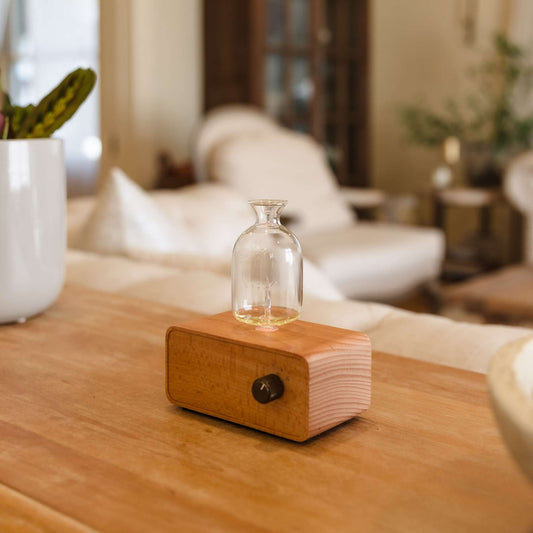 WATERLESS ALL GLASS DIFFUSER