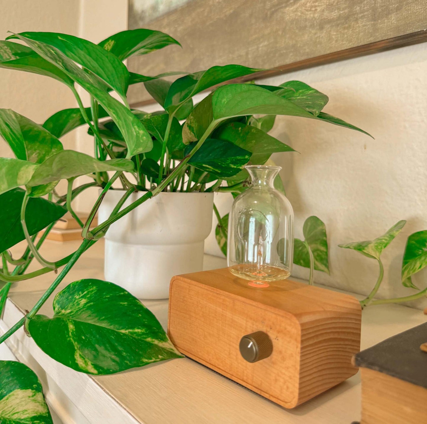 WATERLESS ALL GLASS DIFFUSER