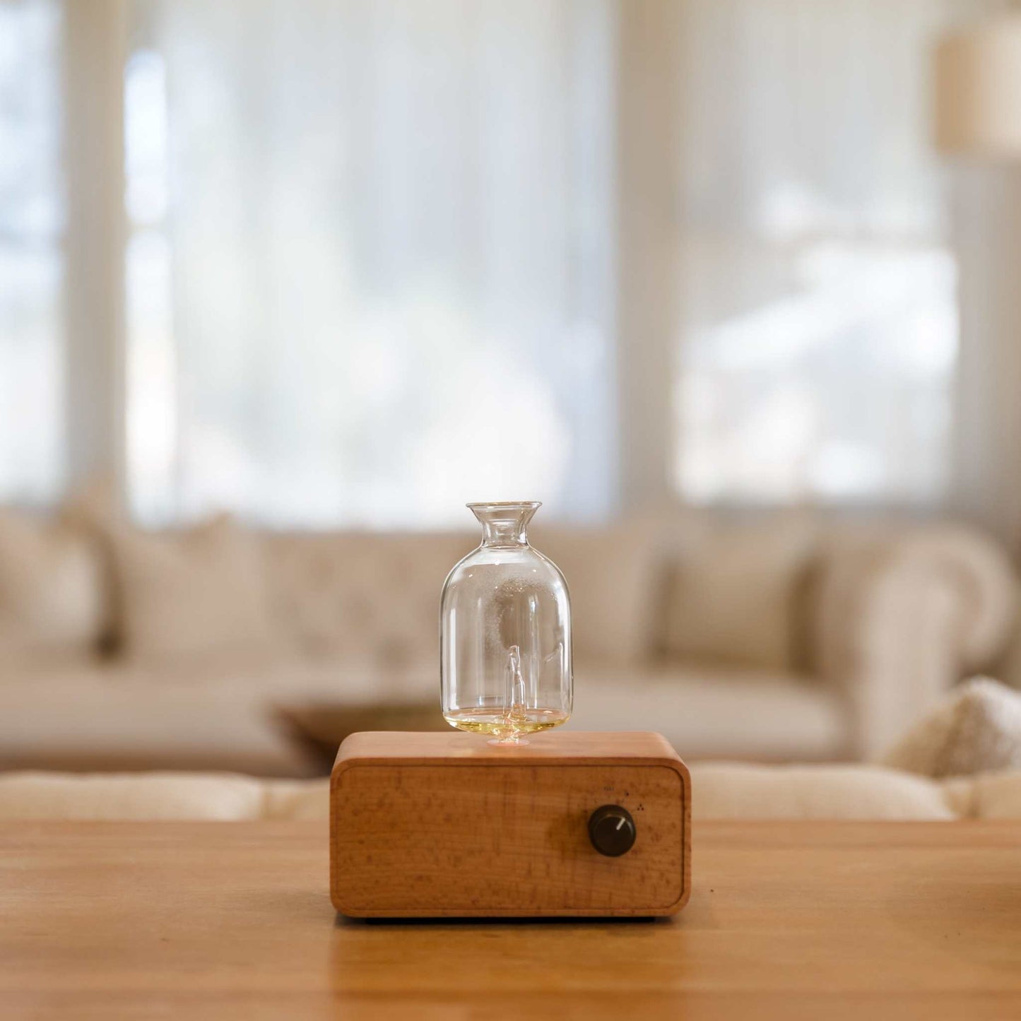 WATERLESS ALL GLASS DIFFUSER