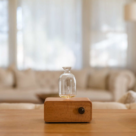 WATERLESS ALL GLASS DIFFUSER