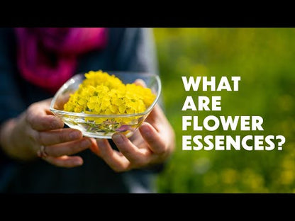 FLOWER ESSENCES