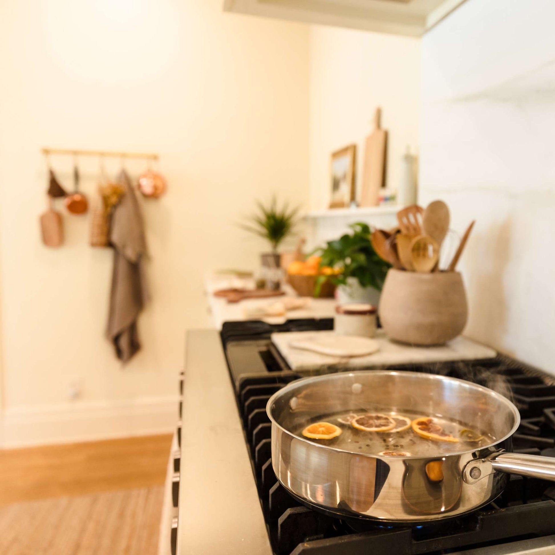 TRULY CLEAN LIVING™ ORGANIC SIMMER POT KITS [PICK YOUR KITS]